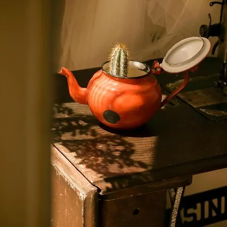 Il Lentisco Bed & Breakfast 3*