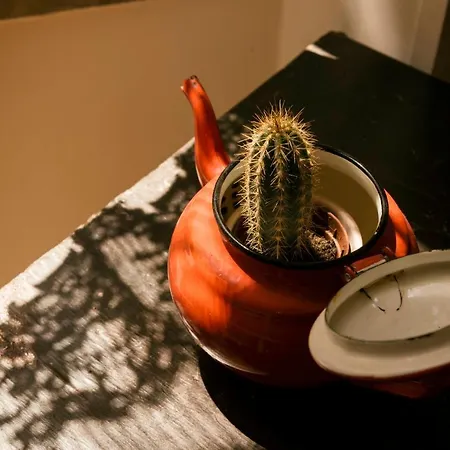 Il Lentisco Bed & Breakfast Camerota