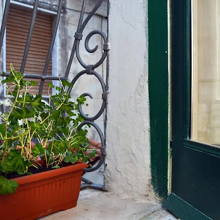 Bed & Breakfast Il Lentisco