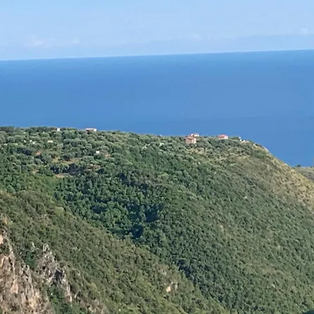 Il Lentisco