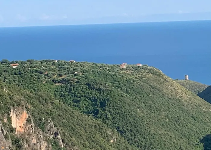 Il Lentisco